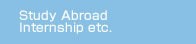 Study Abroad Internship etc.