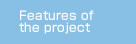 Features of the project