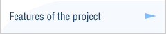 Features of the project