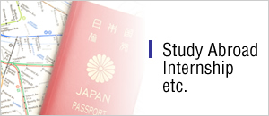 Study Abroad Internship etc.