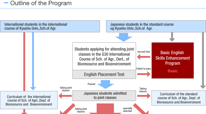 Outline of the Program