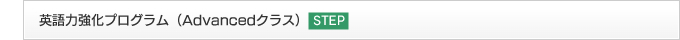 英語力強化プログラム（Advancedクラス）