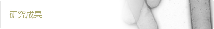 研究成果