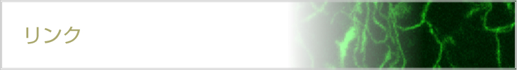 リンク