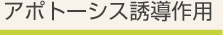 がんを自滅に導くアポトーシス誘導作用