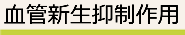 がんの栄養補給路を断つ新生血管抑制作用