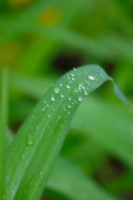 �C���[�W