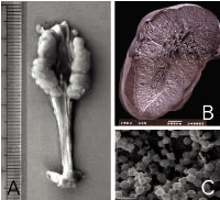 �}�g�E�_�C