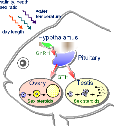 ������A��