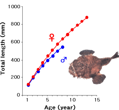 �L�A���R�E�̐����Ȑ�