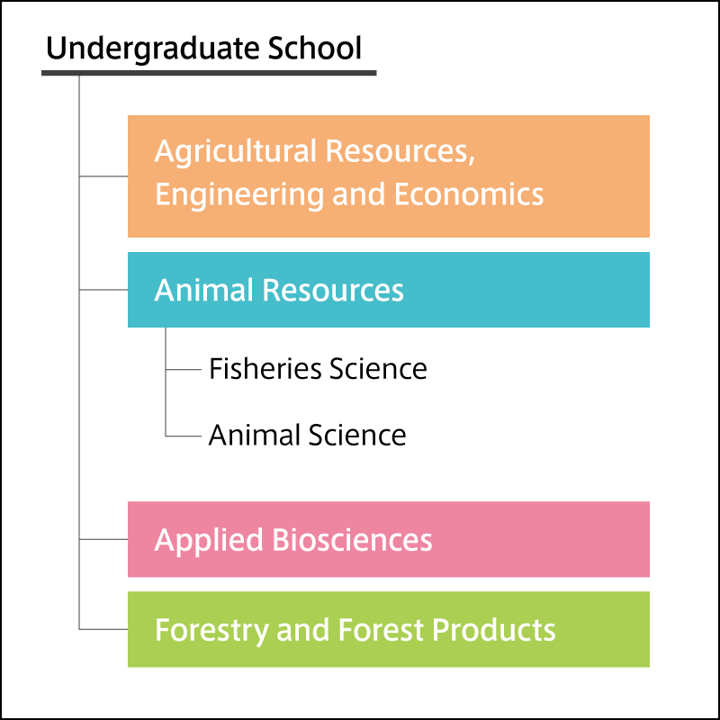 Animal Resources – Kyushu University Faculty of Agriculture
