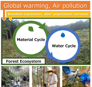 Forest Ecosystem Management