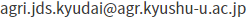E-mail address
