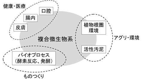 image1.jpg