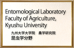 Entomological Laboratory Faculty of Agriculture, Kyushu University