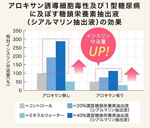インスリン分泌の増加