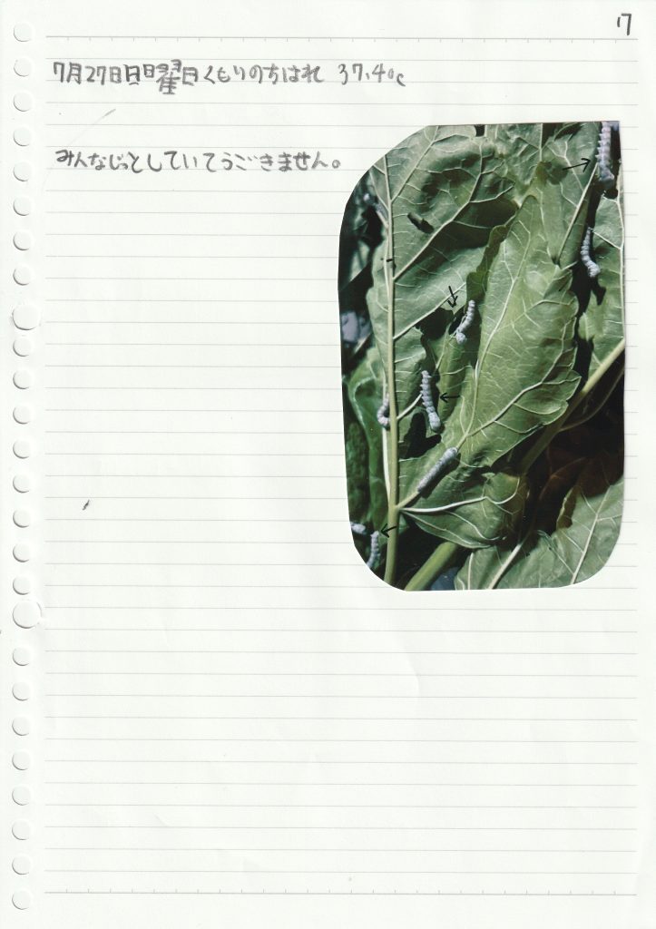 t7