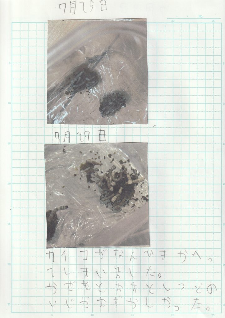 y4
