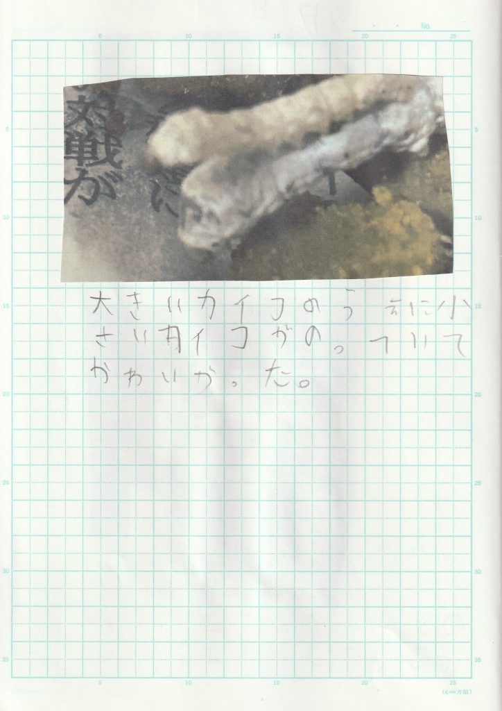 y6