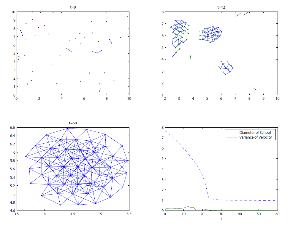 魚群の幾何学的構造