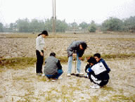 Soil sampling survey in a farmland (Northern Vietnam)