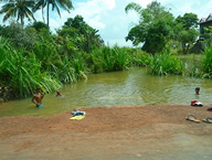 Water environment in paddy area (Hanam, Vietnam)